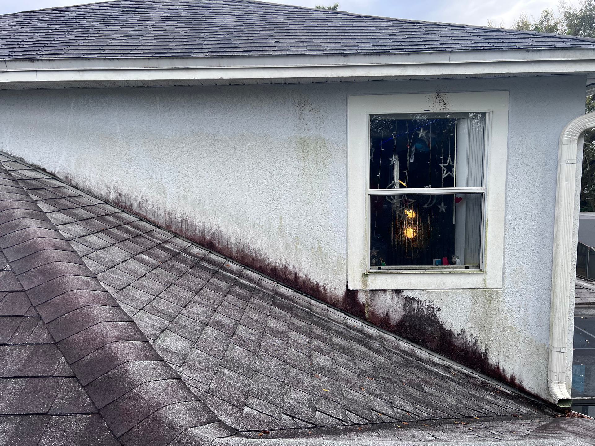 Shingled roof with dark stains, next to a light-colored stucco wall with a window and a gutter.
