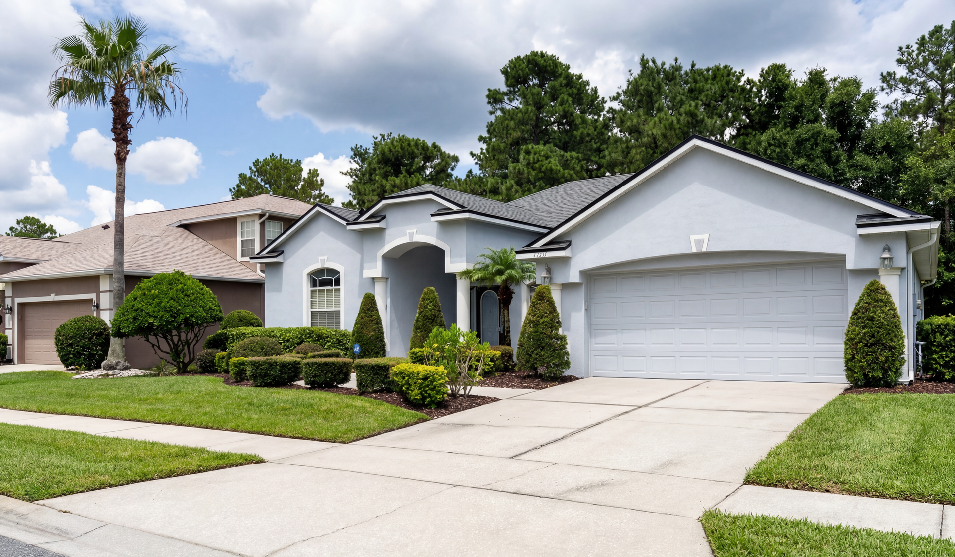 A white house with a palm tree in front of it