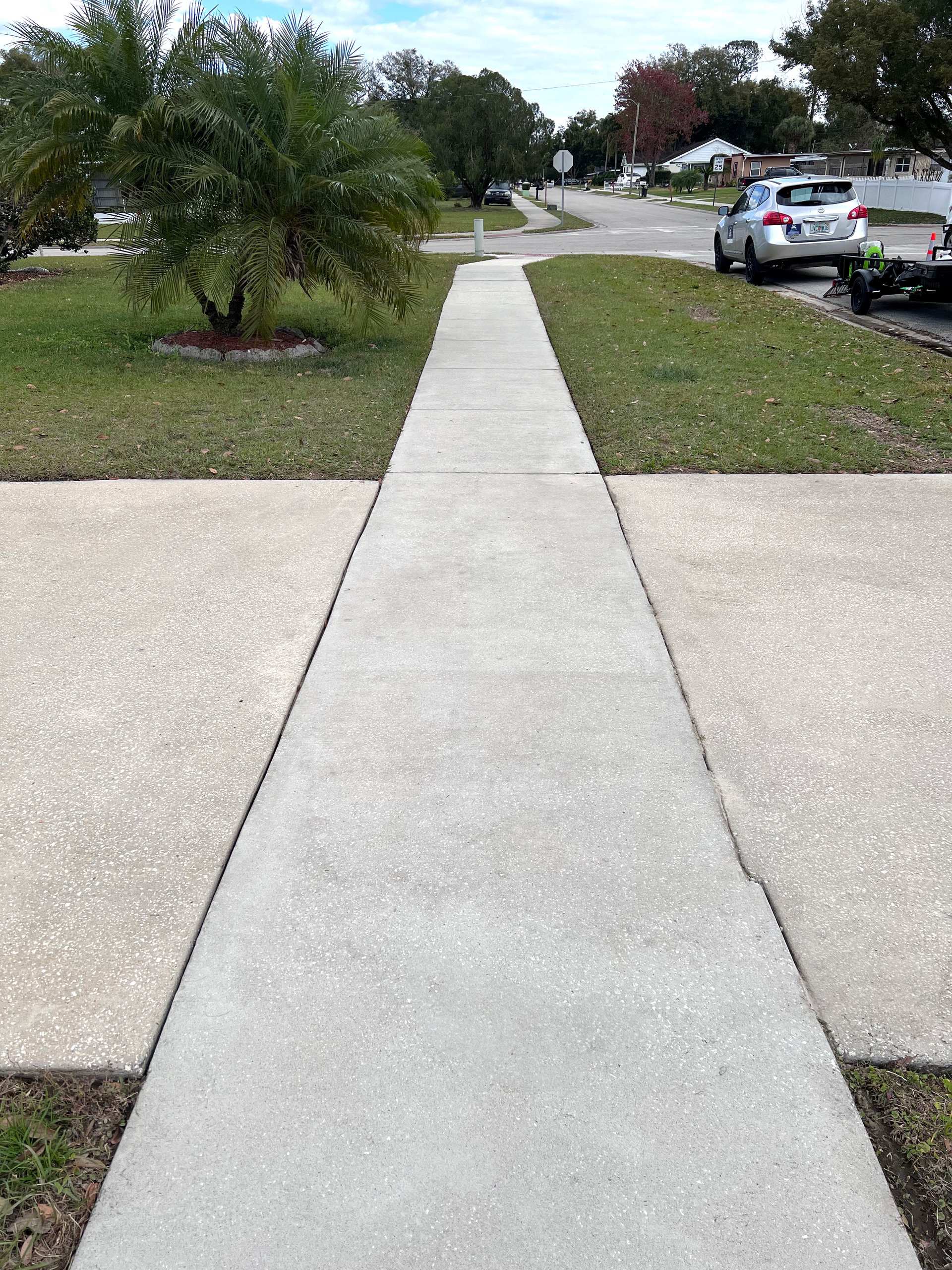 A gutter filled with leaves and branches is sitting on top of a roof.