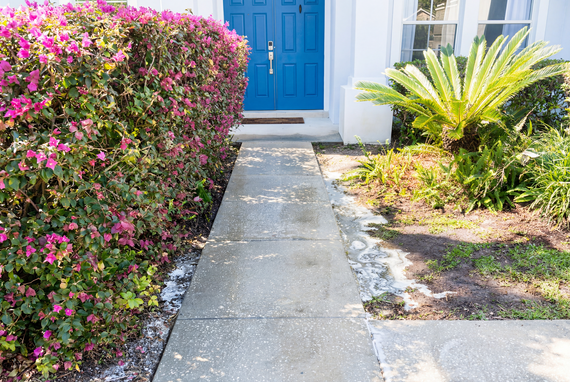 A sidewalk in front of a house with a blue door.