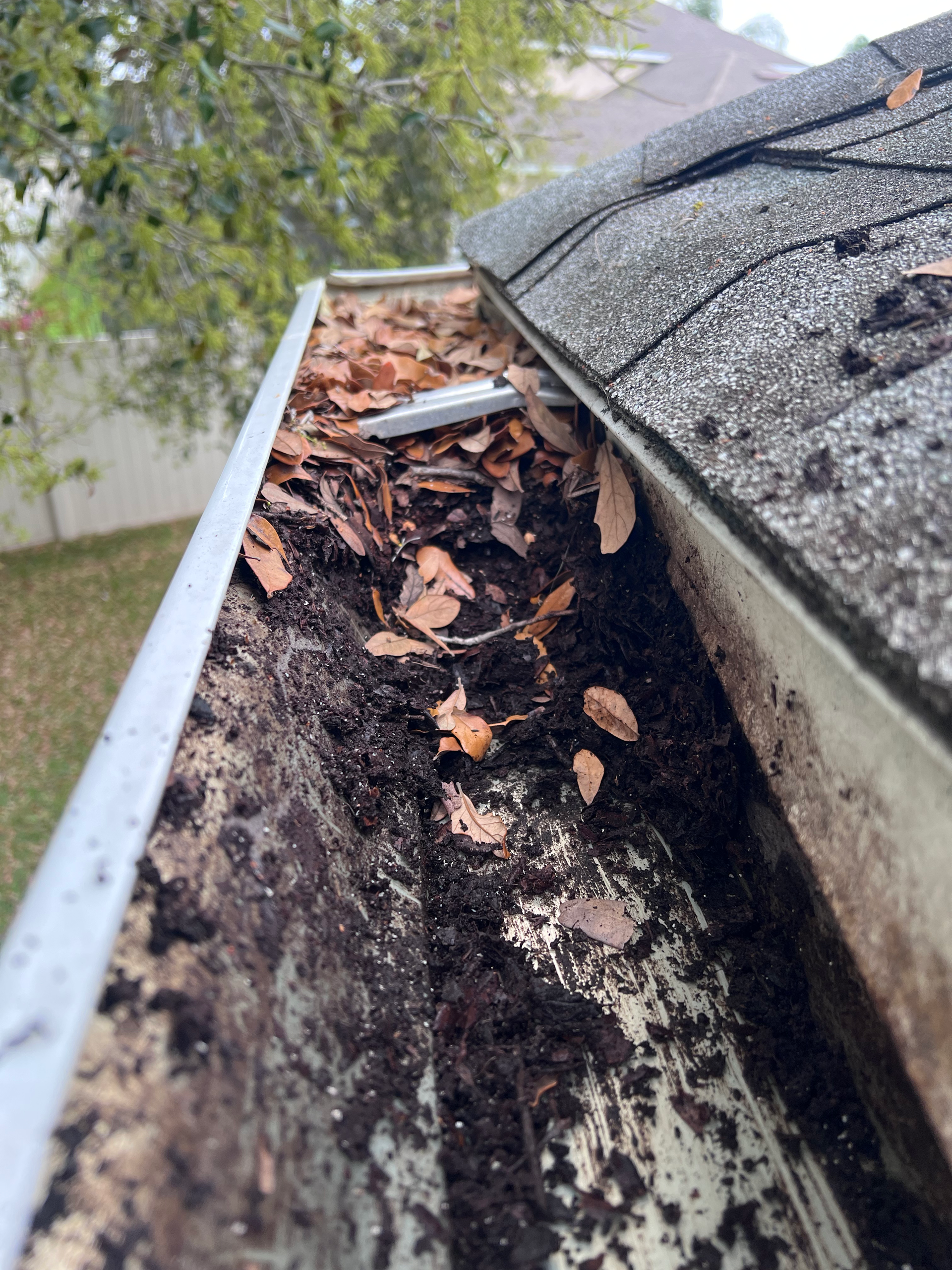 A gutter filled with leaves and dirt on a roof.