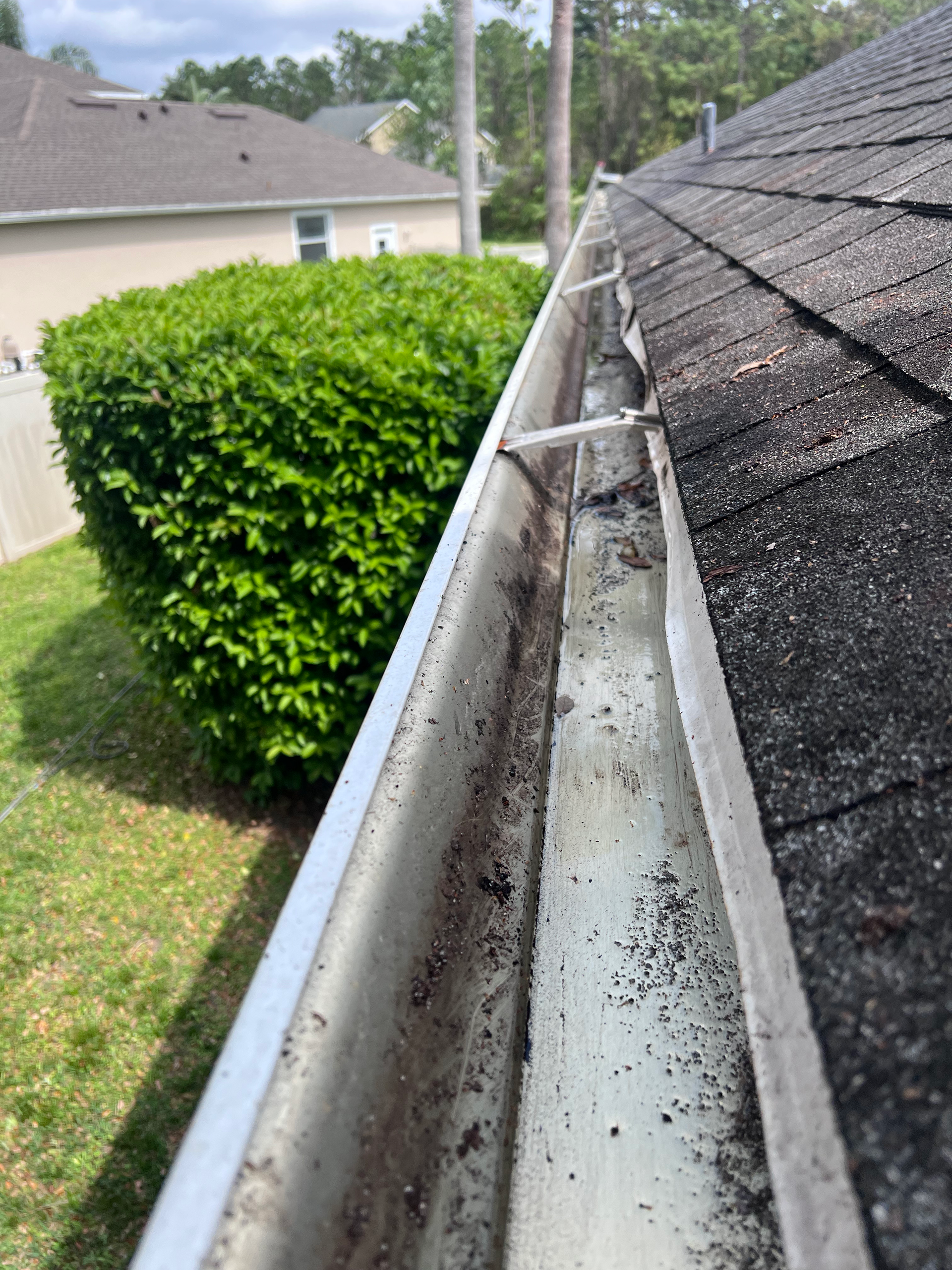 A gutter is sitting on top of a roof next to a bush.