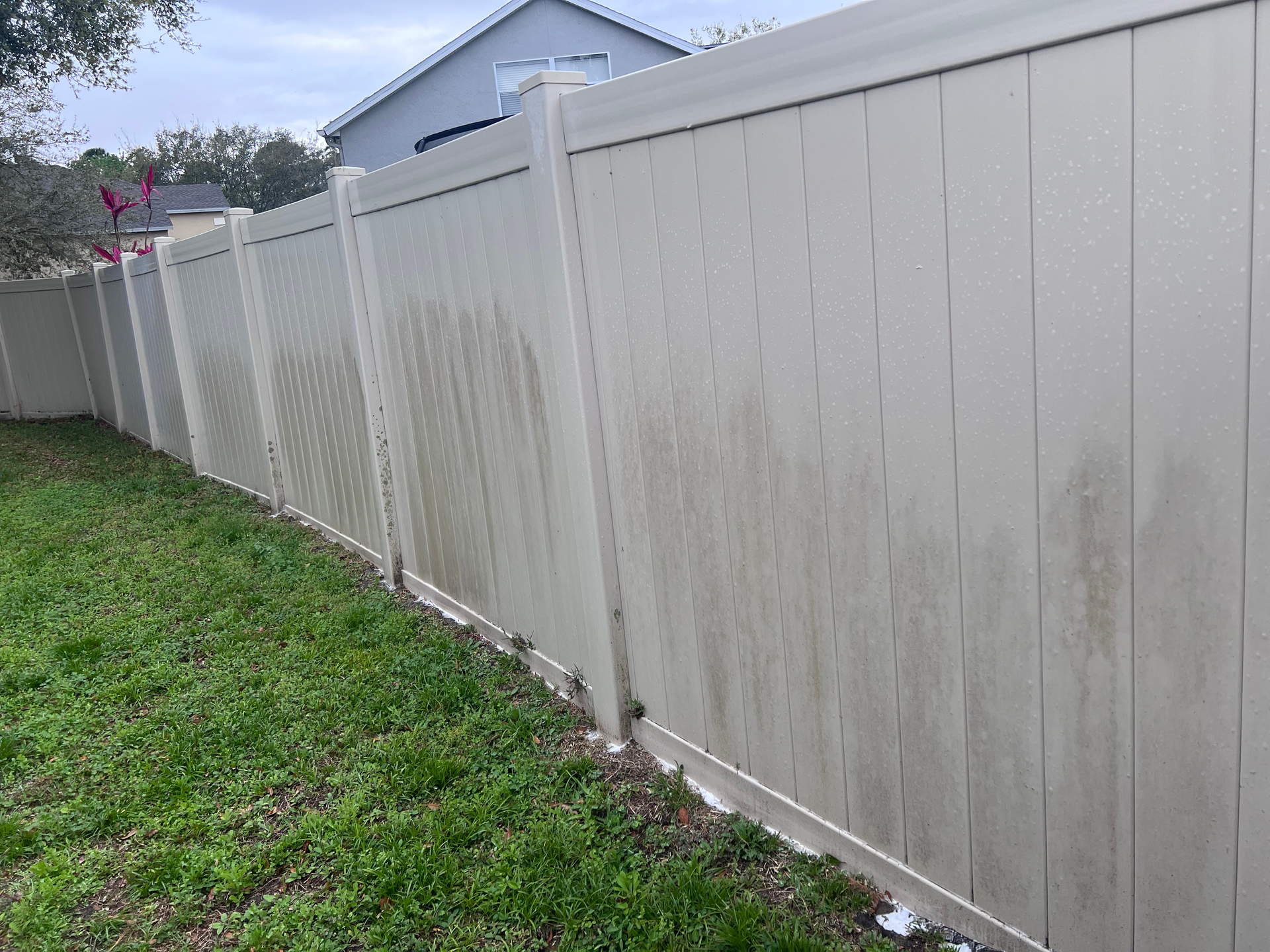 A white fence is sitting in the middle of a lush green yard.