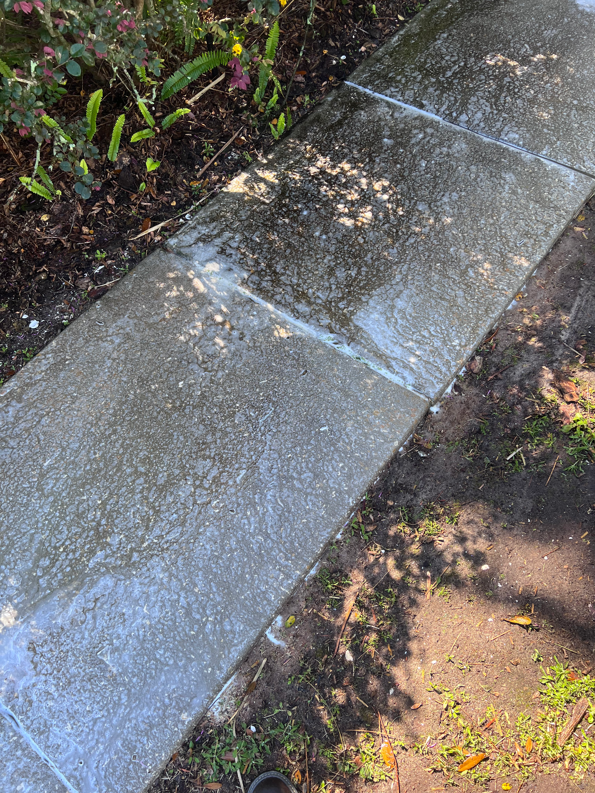 A close up of a sidewalk next to a garden.