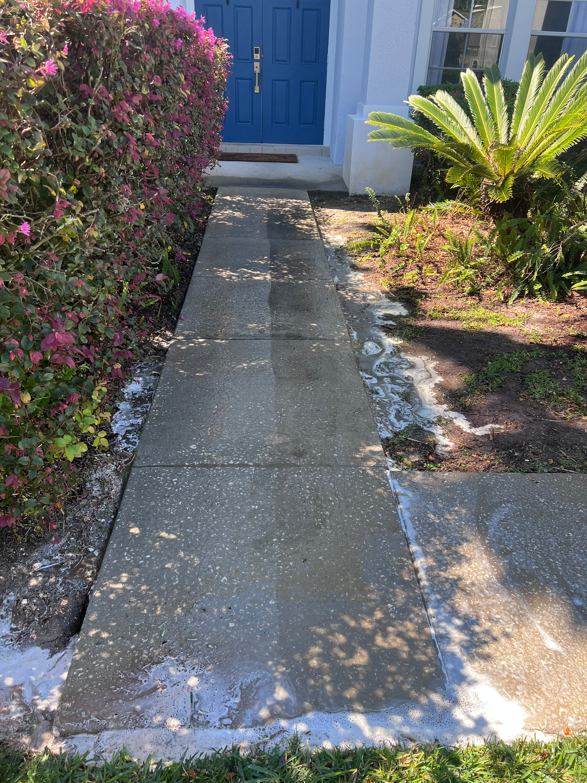 A sidewalk in front of a house with a blue door.