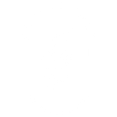 Bluebonnet Overhead Doors logo