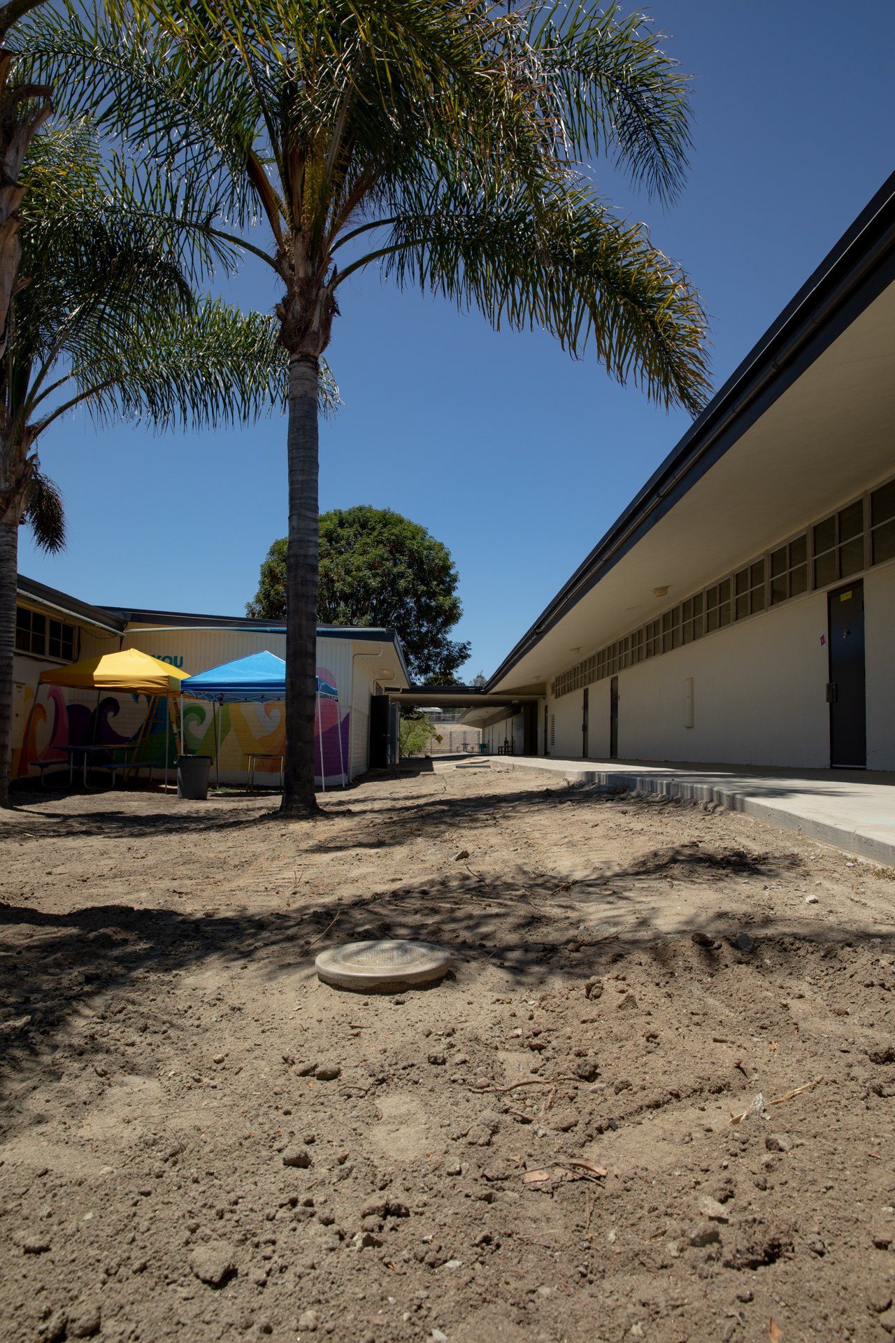 A building with a palm tree in the middle of it