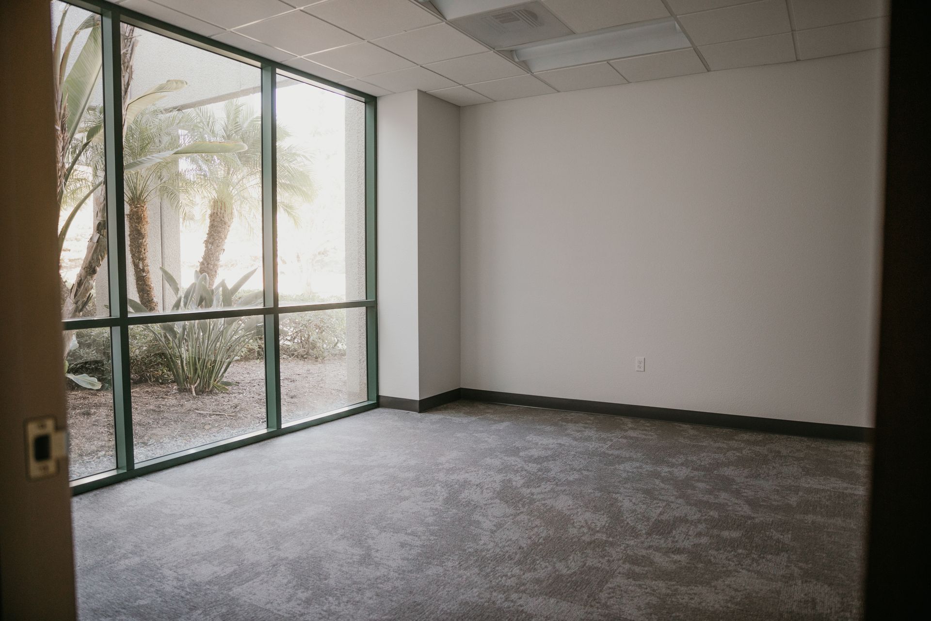 An empty room with a lot of windows and carpet.