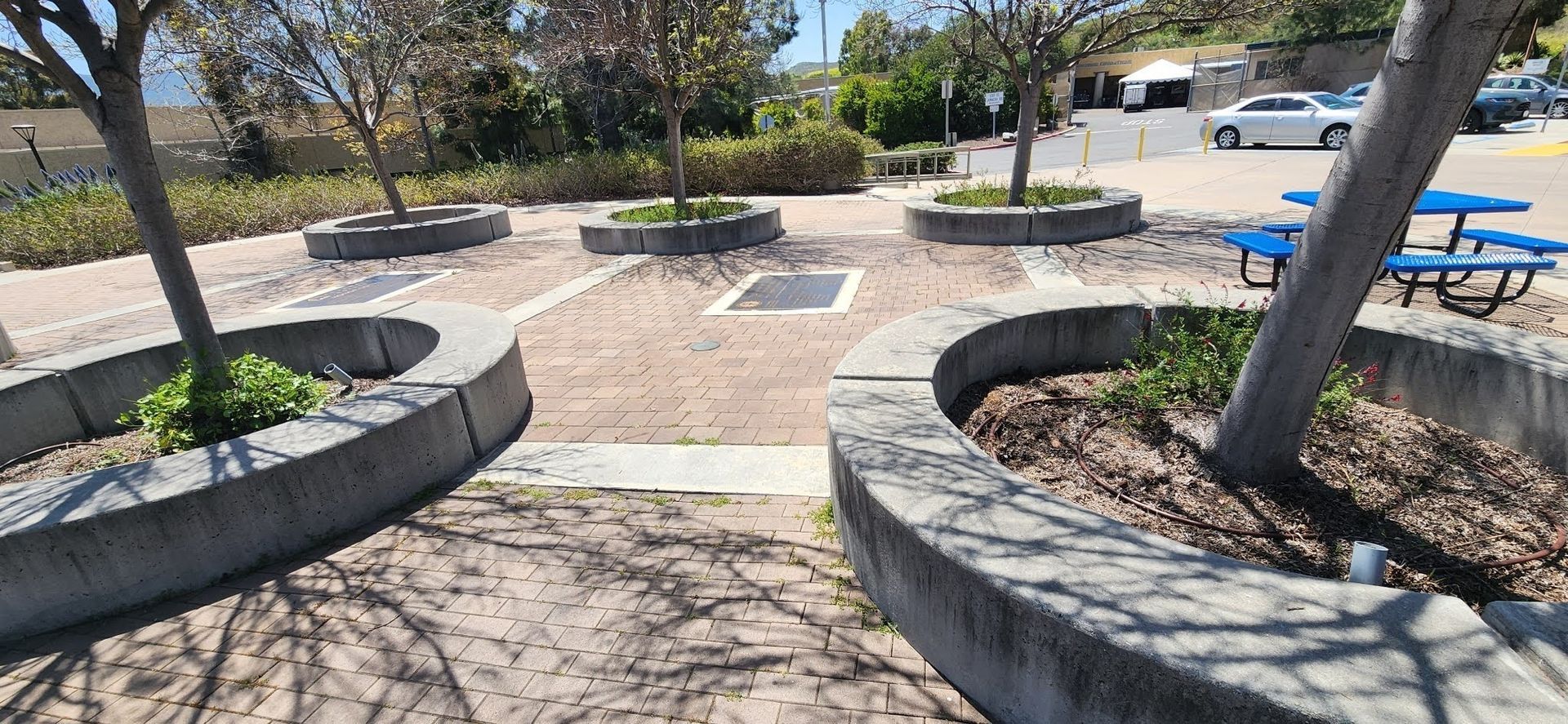 A park with trees and benches in the middle of it