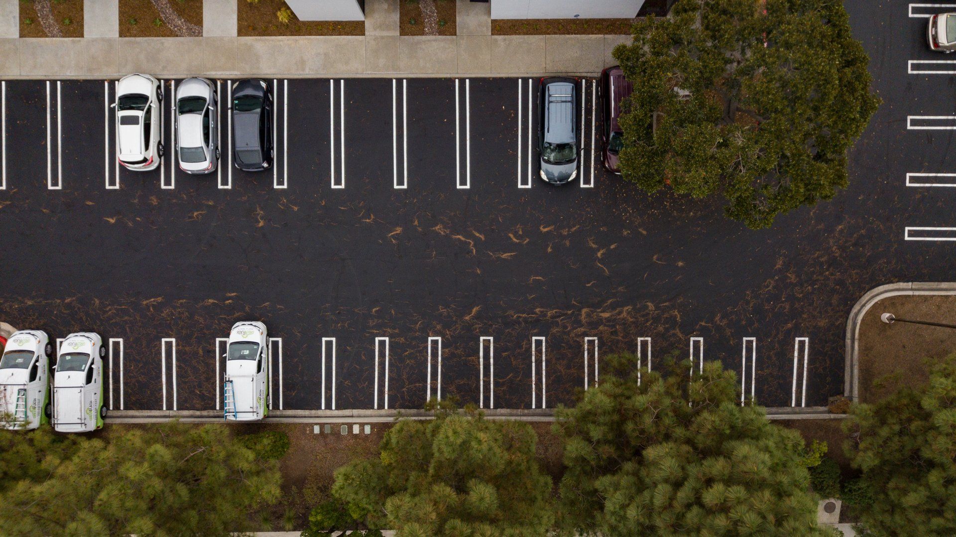 vista parking lot maintenance