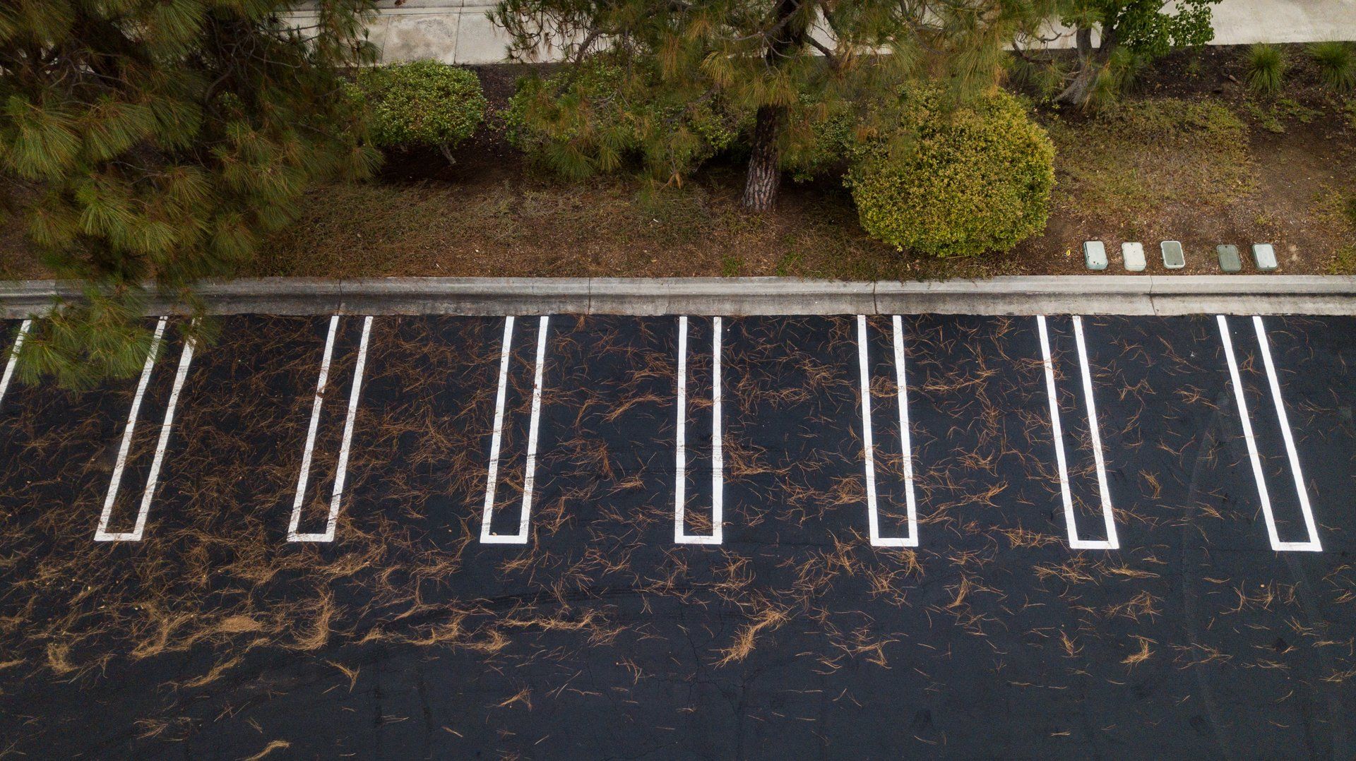 vista parking lot maintenance