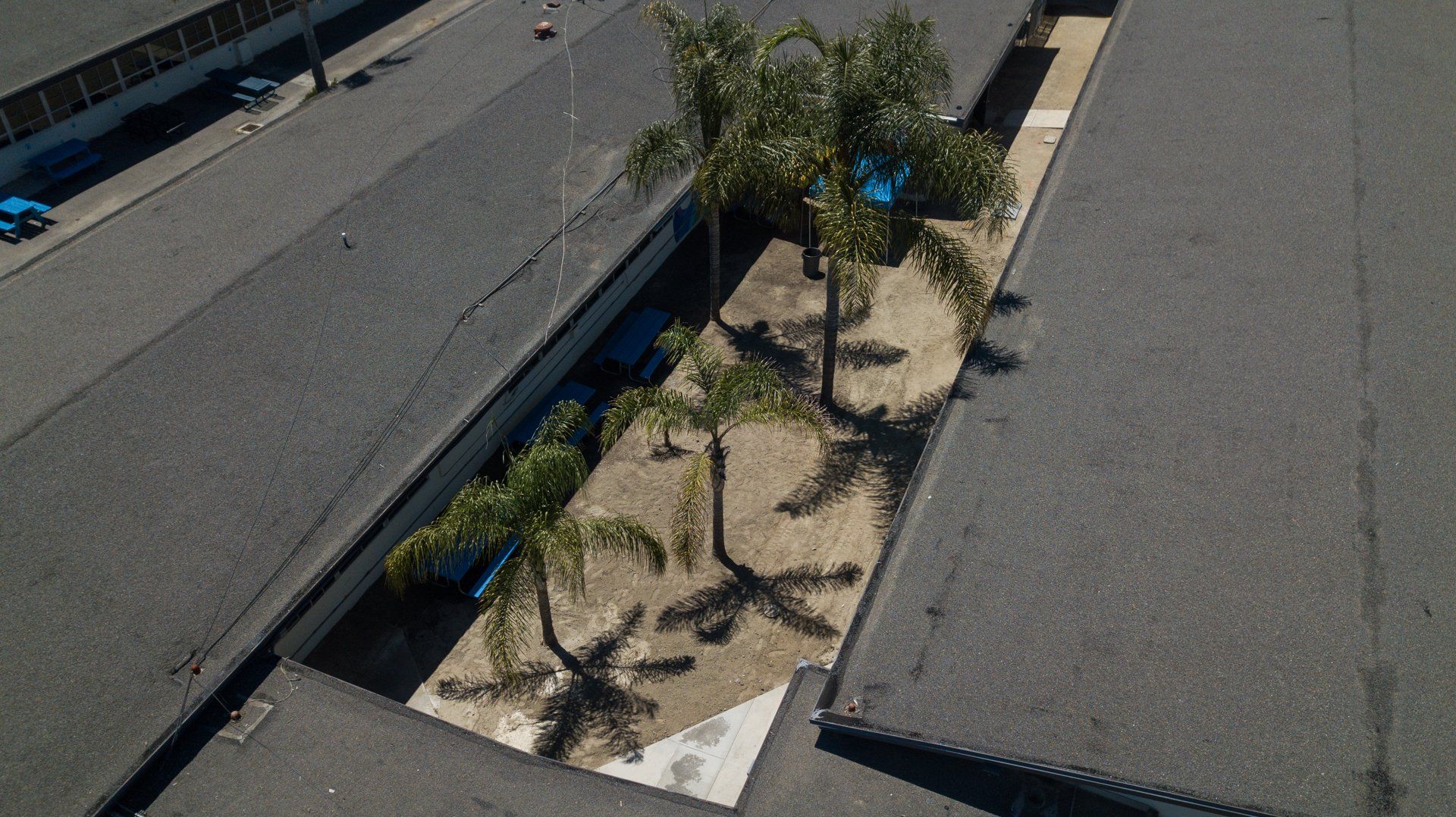 An aerial view of a building with a palm tree in the middle