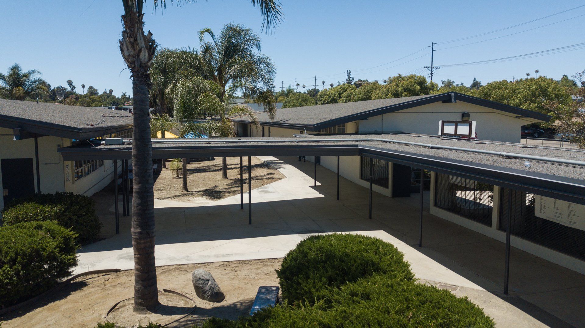 An aerial view of a school with a palm tree in the foreground