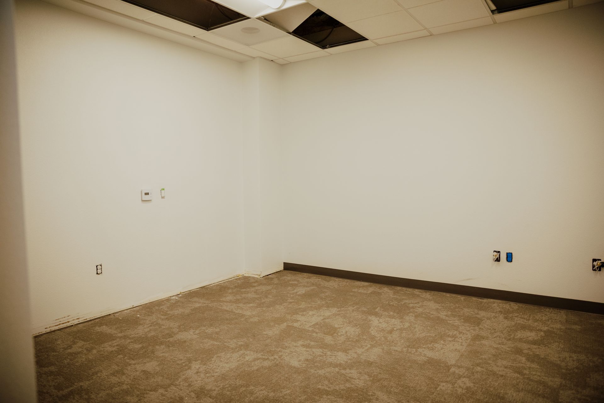 An empty room with a brown carpet and white walls
