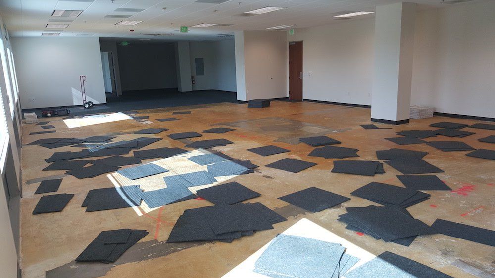 A large room with a lot of carpet on the floor