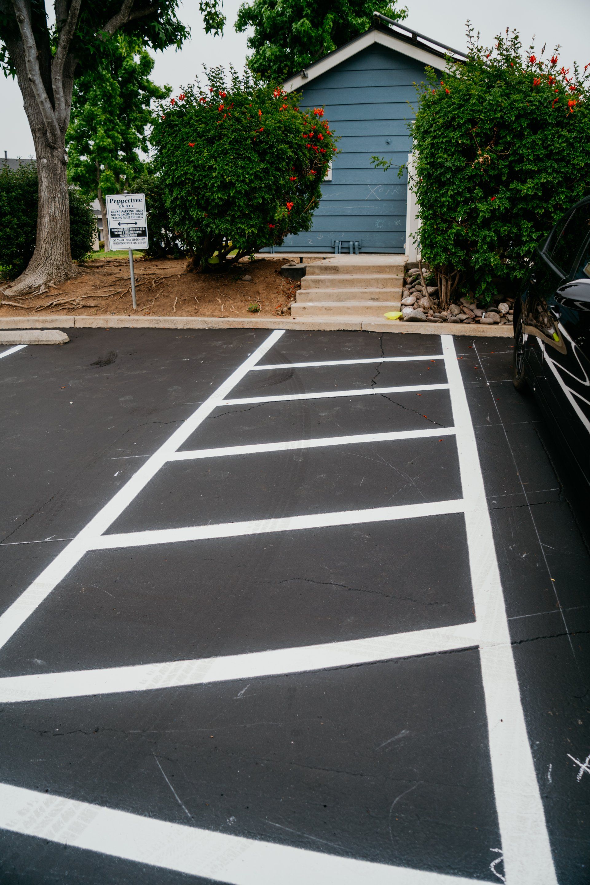 A black car is parked in a handicapped parking spot
