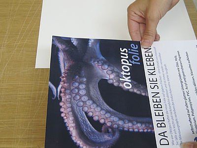 Eine Person hält ein Buch mit einem Oktopus auf dem Einband.