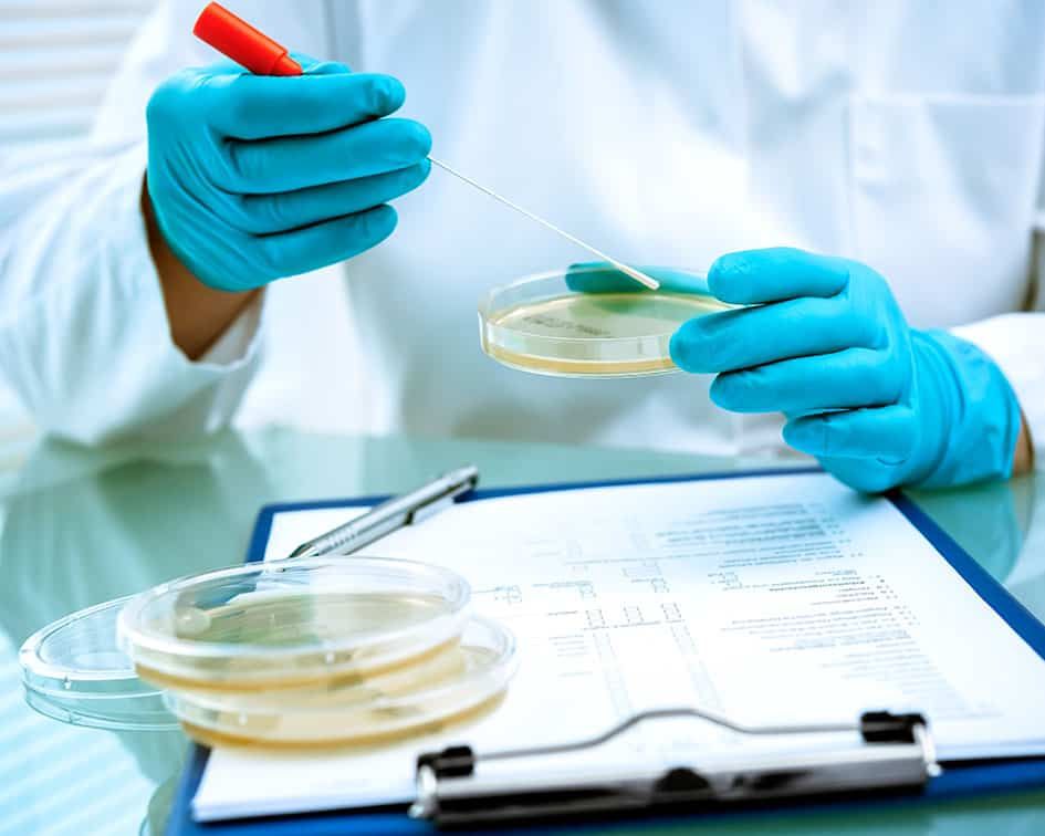 Uno scienziato tiene in mano una capsula di Petri e una pipetta sopra un blocco appunti.