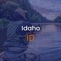 Image of a man fly fishing in Idaho