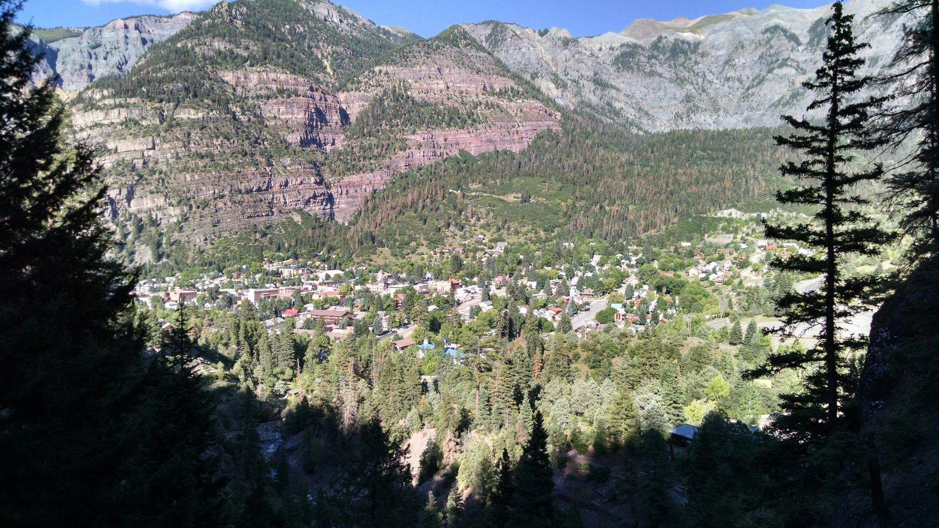mountains and forest