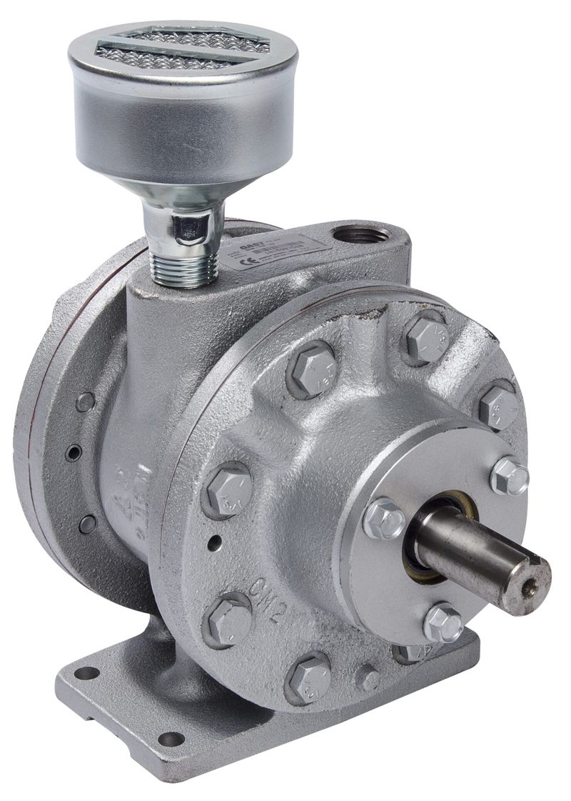 Gray rotary pump with a bolted casing, oil cup on top, and shaft extending from the front.