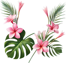 Mahalo Hair Studio
