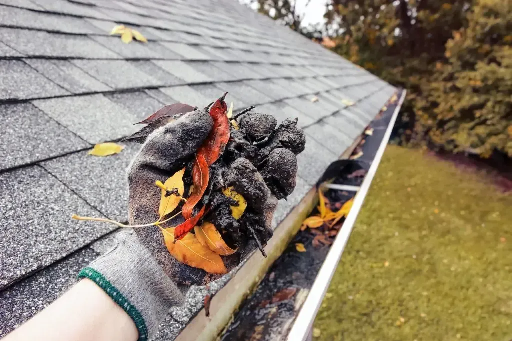 Person wearing a gray glove, holding a handful of colorful fall leaves from a rain gutter on a shingled roof.