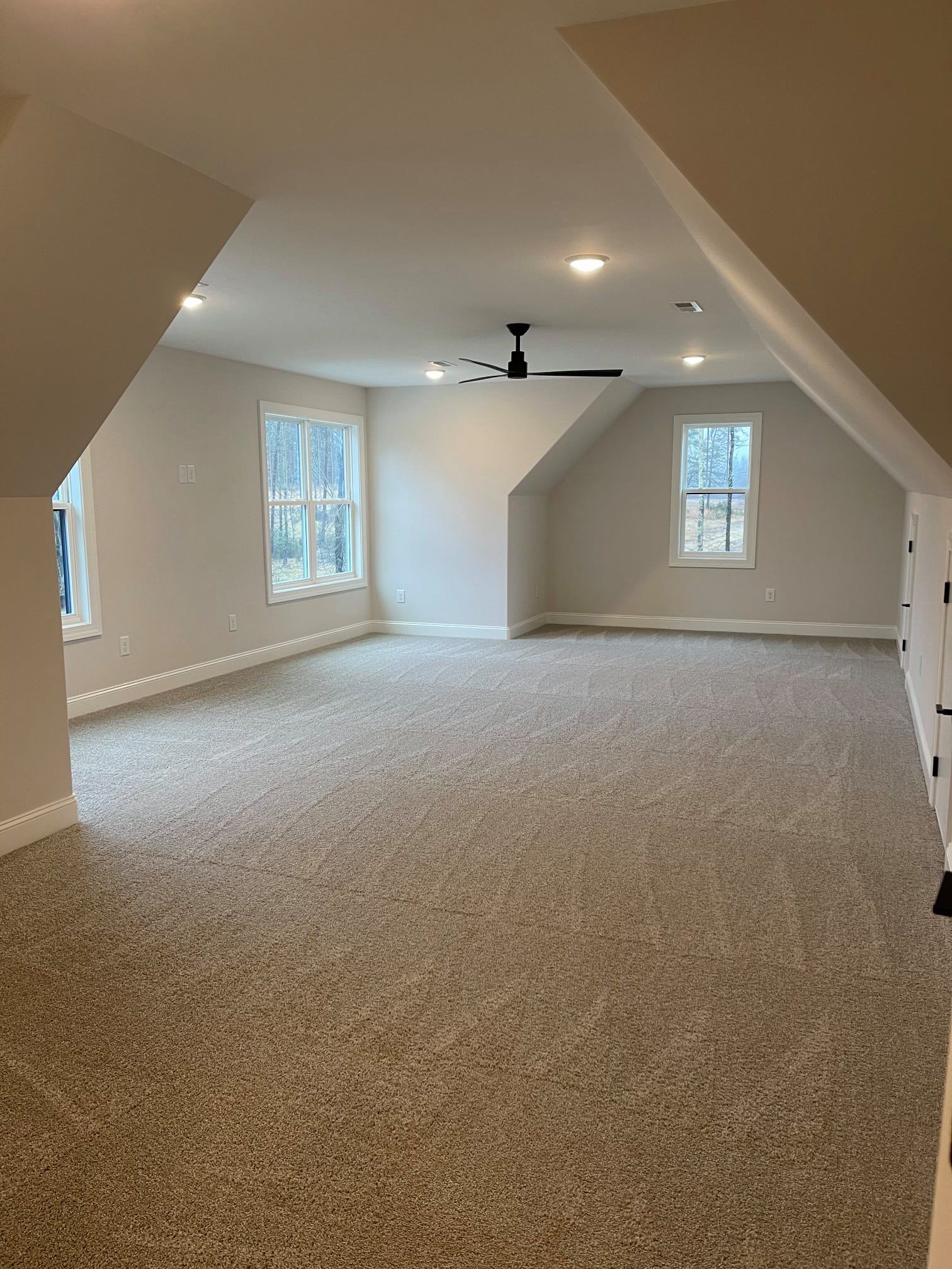 Carpeted living room