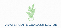 Gualazzi Davide