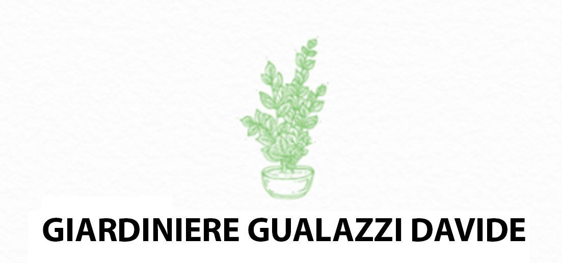 Gualazzi Davide