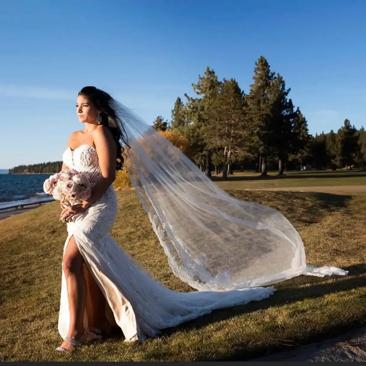 A woman in a wedding dress with a long veil