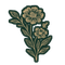 Two flowers in bloom, tan on green stem with leaves.
