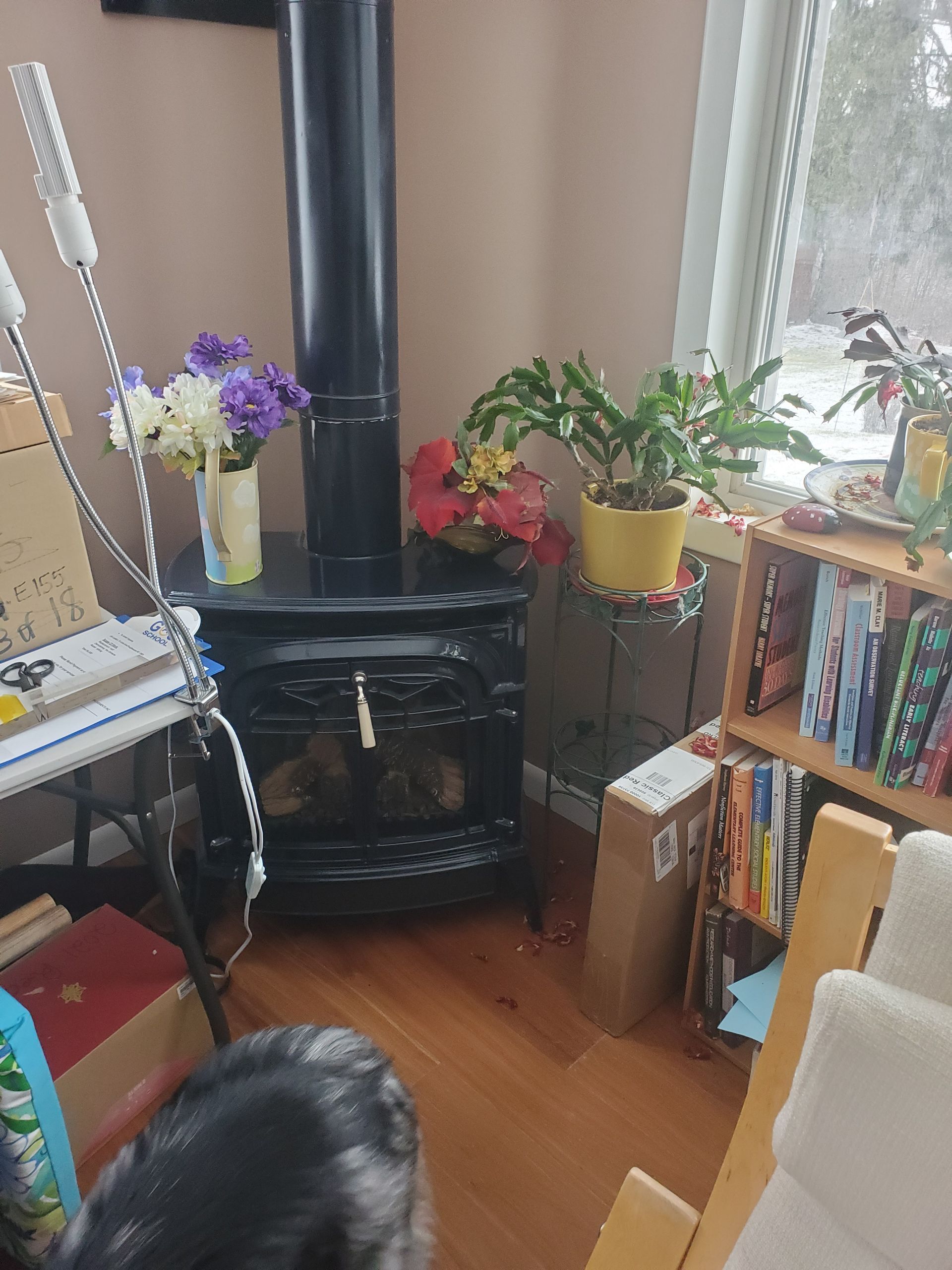 A dog is sitting in a living room next to a fireplace.