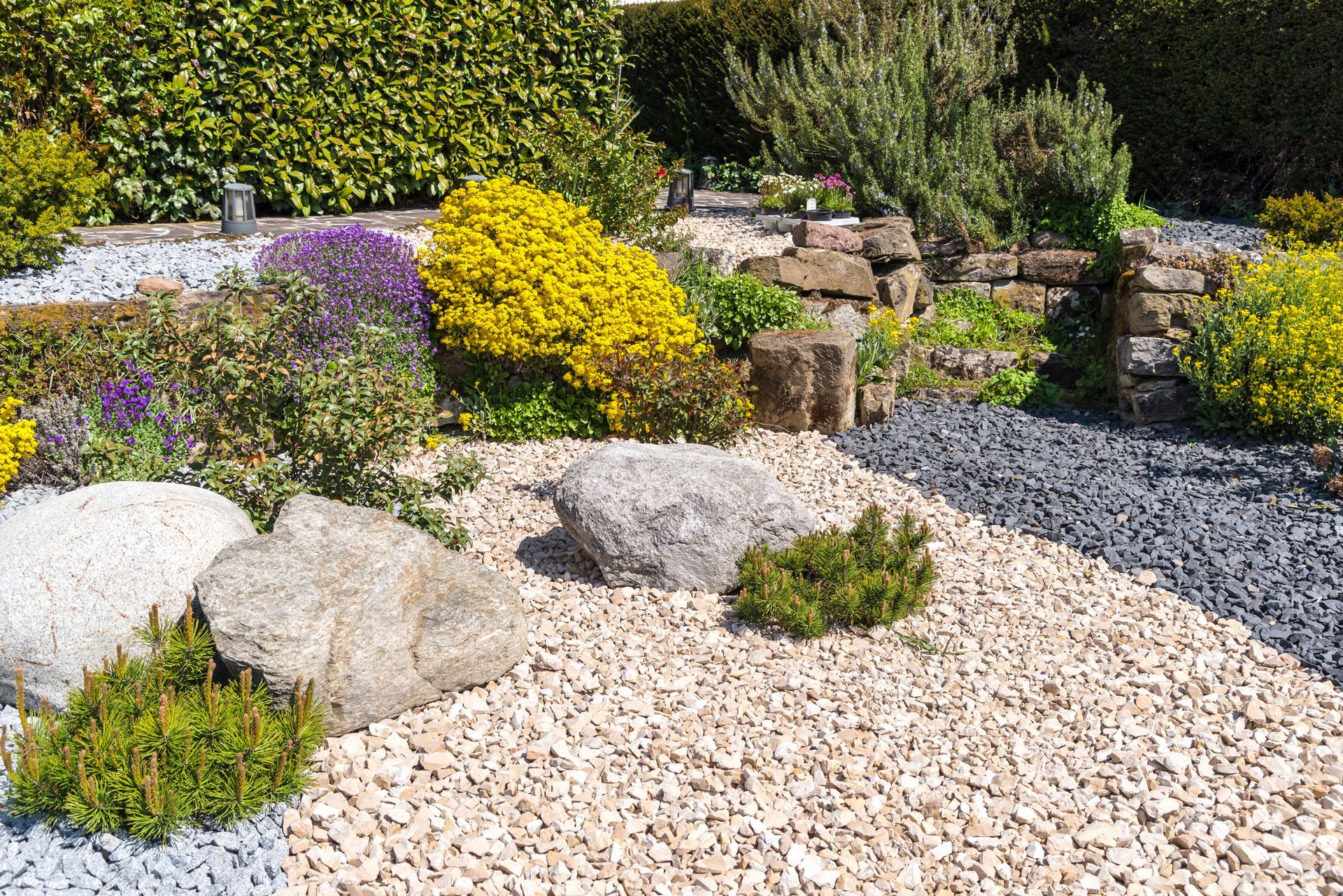 A garden filled with rocks , plants and flowers.