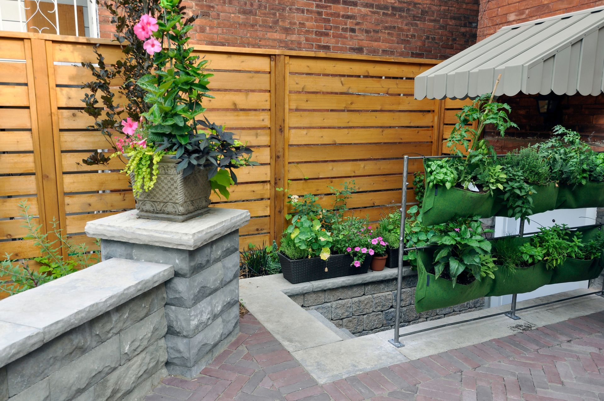 A garden with a wooden fence and lots of potted plants