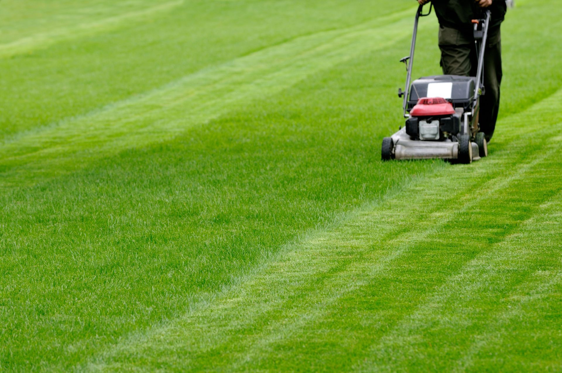 A man is mowing a lush green lawn with a lawn mower.