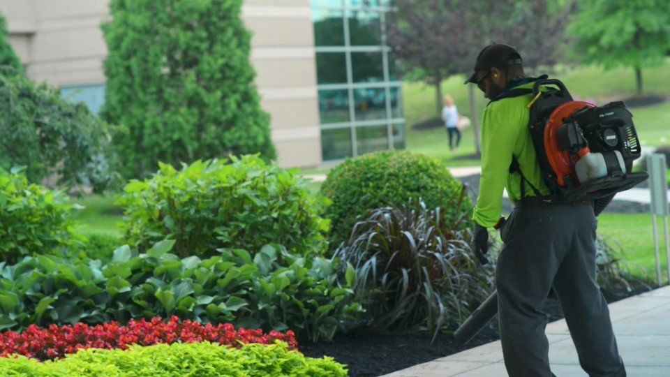 Commercial Landscaping - Office Building Lexington, KY