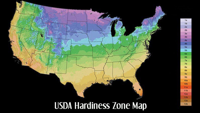 USDA Hardiness Zone Map – Lexington, KY – Mow-Mow’s Family Landscaping