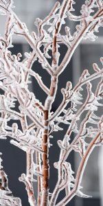 Frosted Branches – Lexington, KY – Mow-Mow’s Family Landscaping