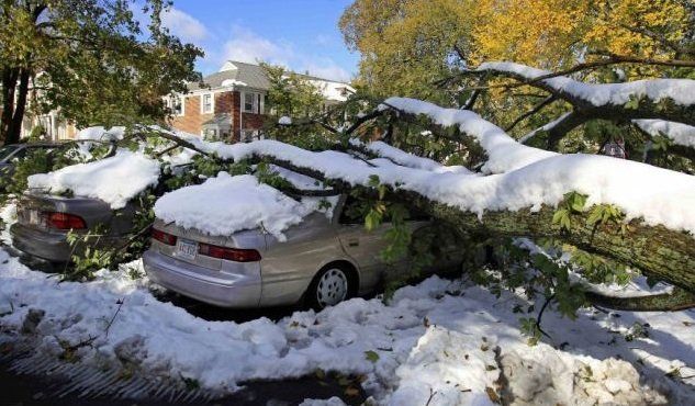 Lexington Equestrian — Snowy Falling Branch On Car in Lexington, KY