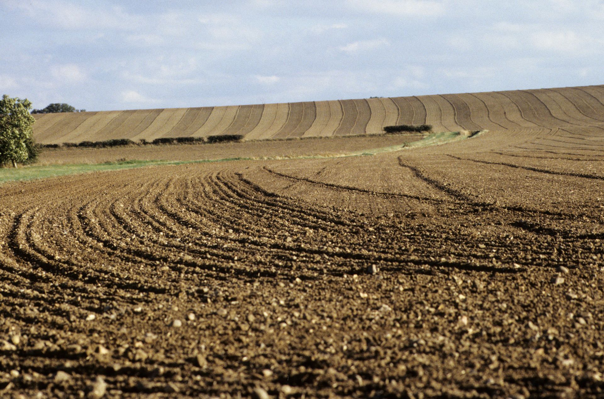 With guidence from the IES and IEMA