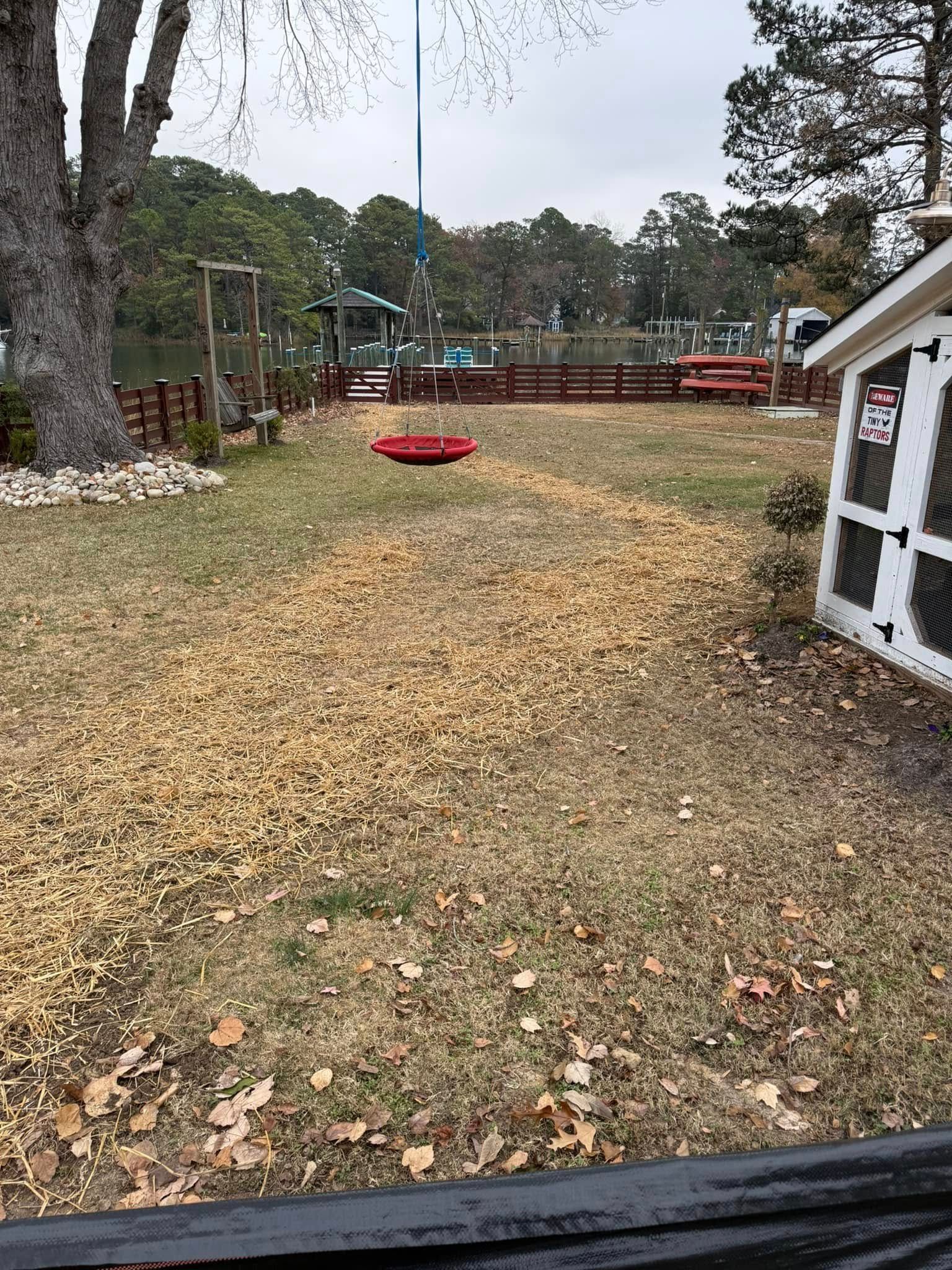 Grassy yard with a swing set, red swing, and a small building with a chicken coop.