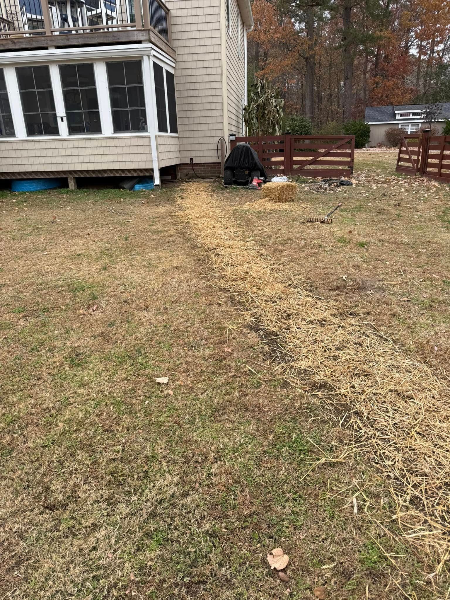 Gravel pathway through a grassy yard next to a house with a screened-in porch.