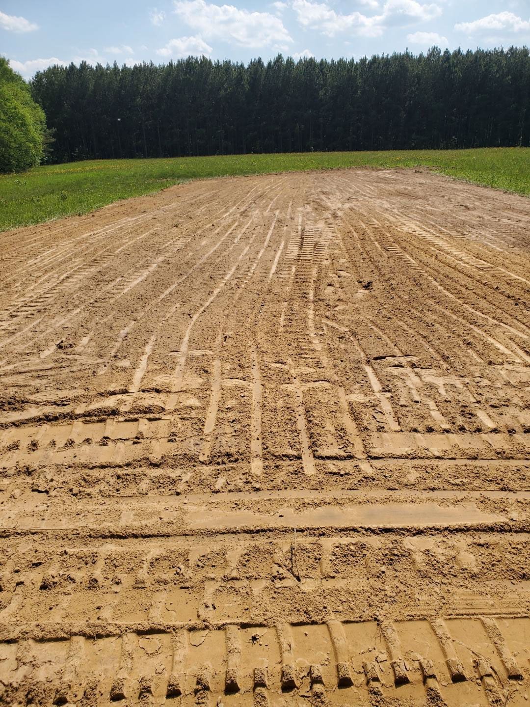 Muddy field with tractor tracks, green grass, and trees under a blue sky.
