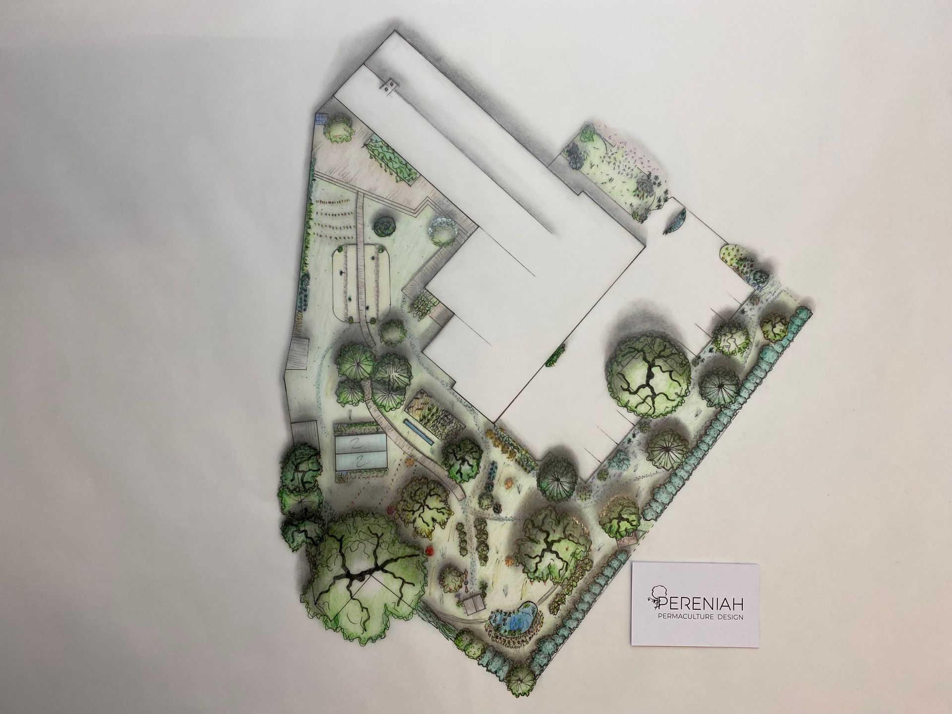 Permaculture design drawing