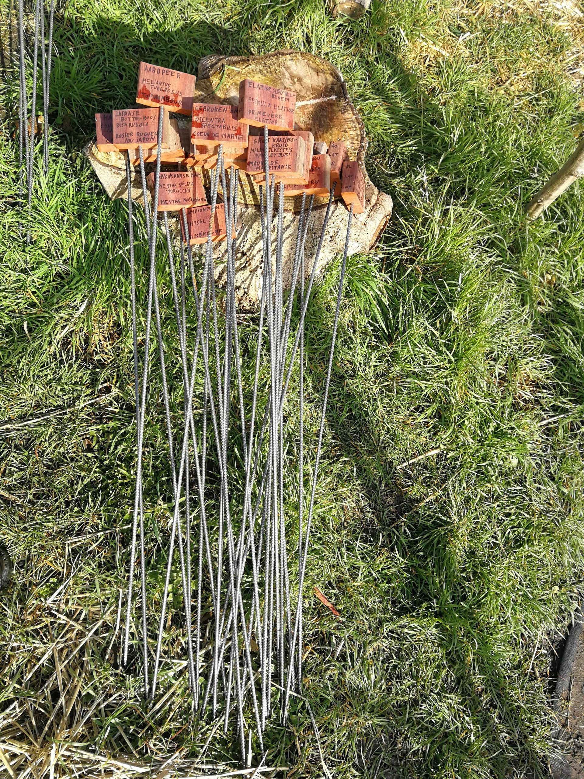 Plant names on boards