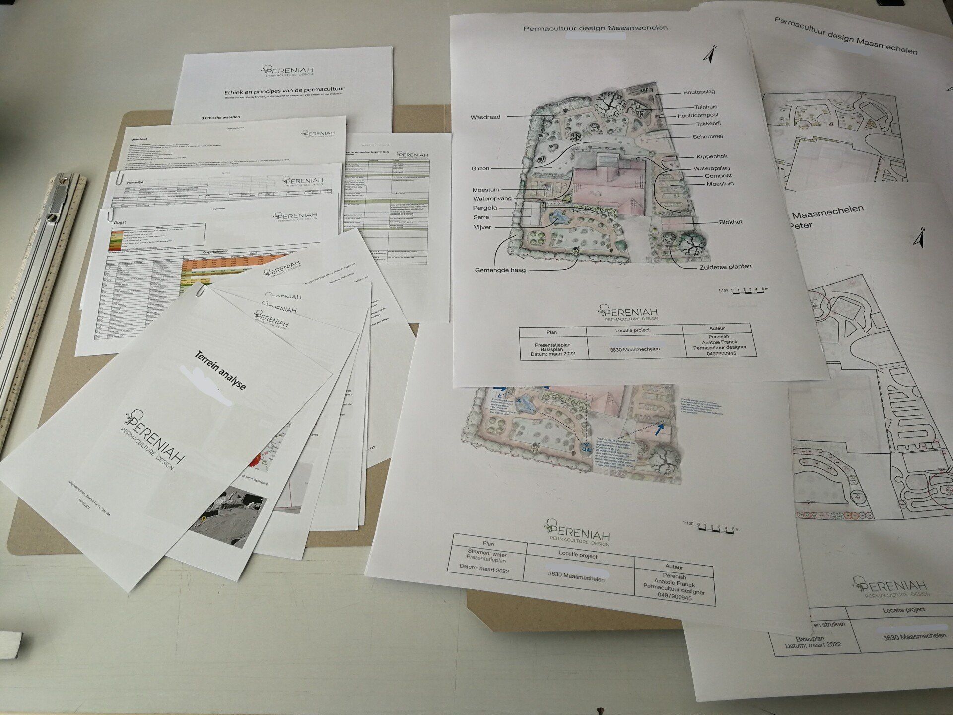 permaculture Design detail pereniah