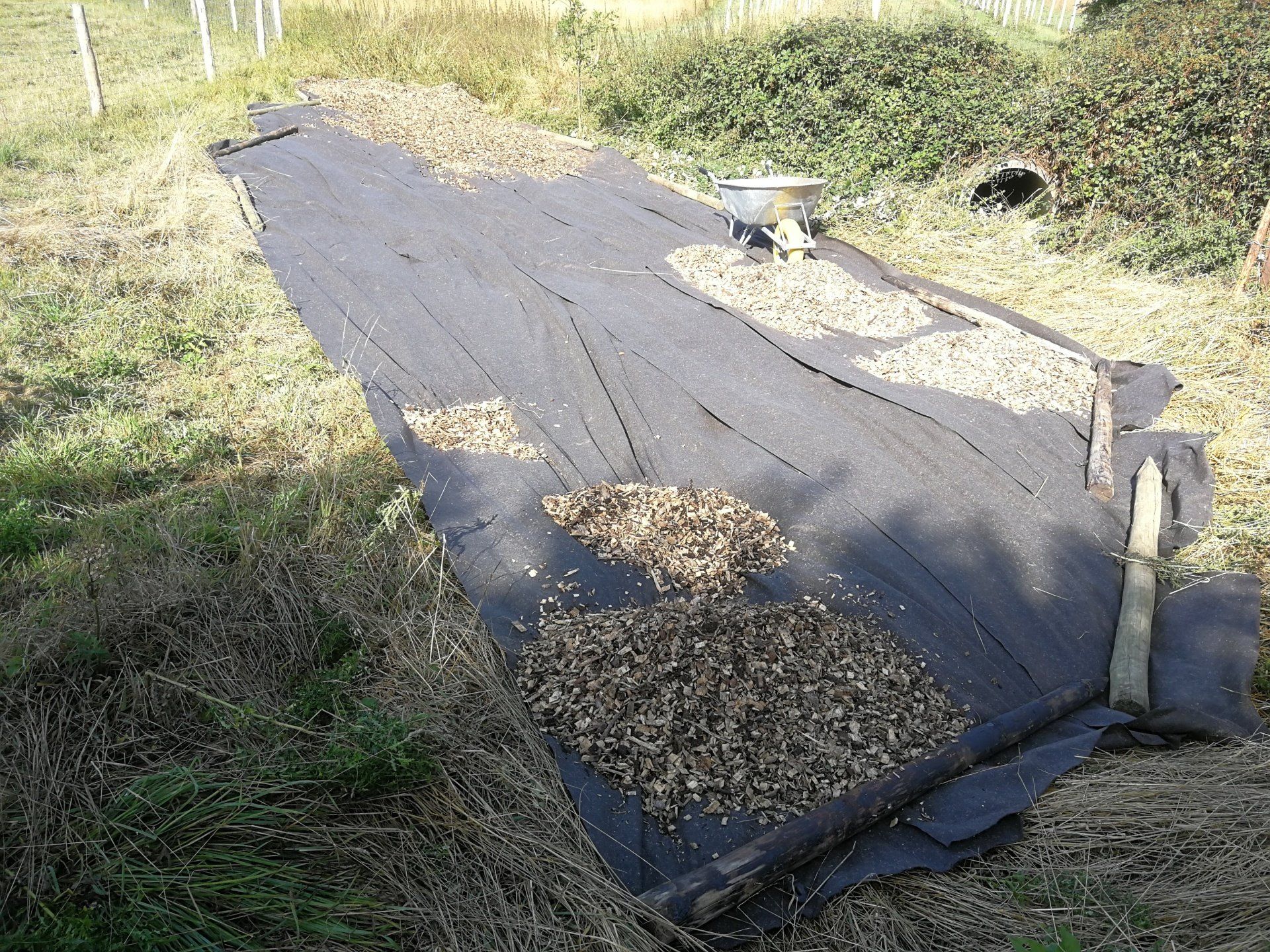 plantation 'a' pereniah