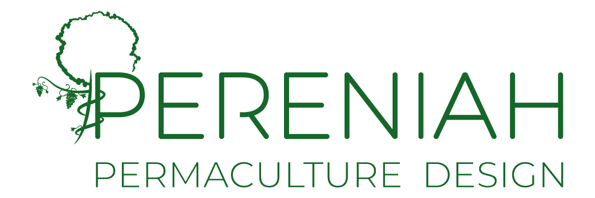 Logo Pereniah Permaculture design