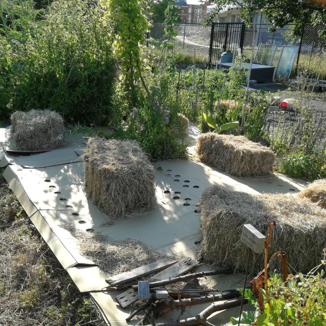 soil mulch a1 pereniah